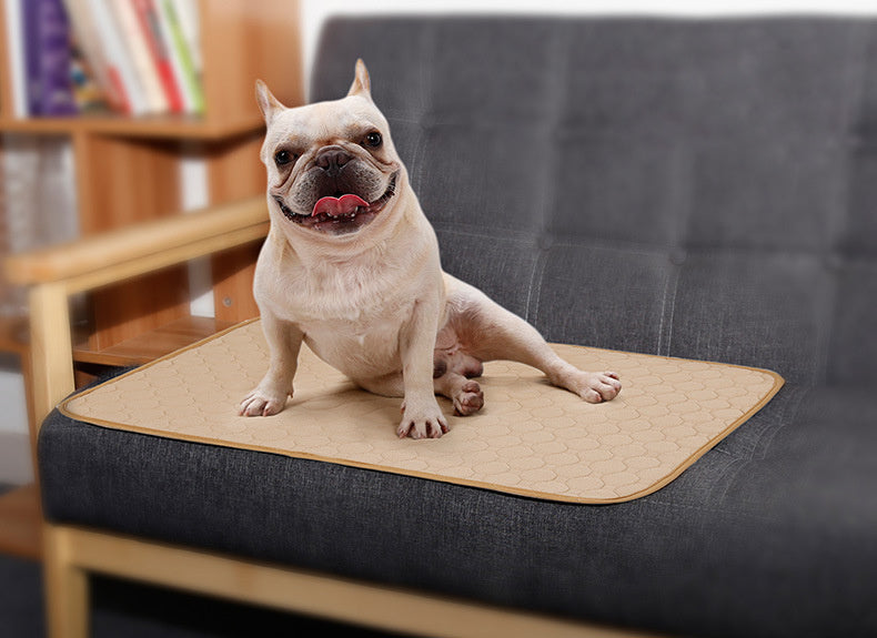 Tapis de chaise pour chien antidérapant