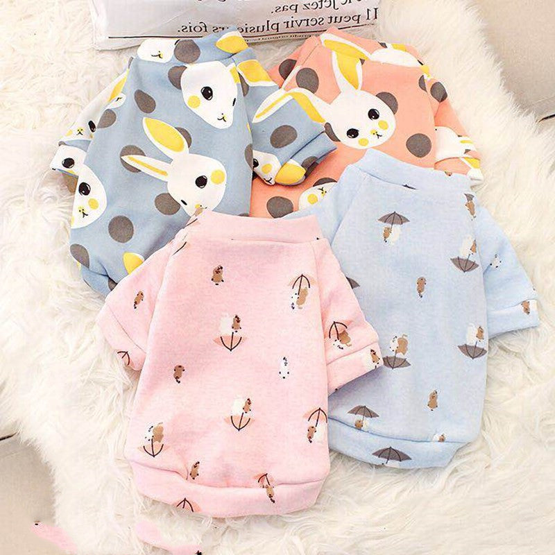 Vêtements pour petits chiens colorés en polyester avec motifs ludiques adaptés pour l'automne et l'hiver.