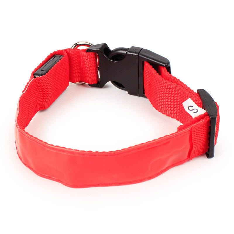 Red nylon dog collar for small dogs, adjustable, includes secure buckle and D-ring for leash attachment.