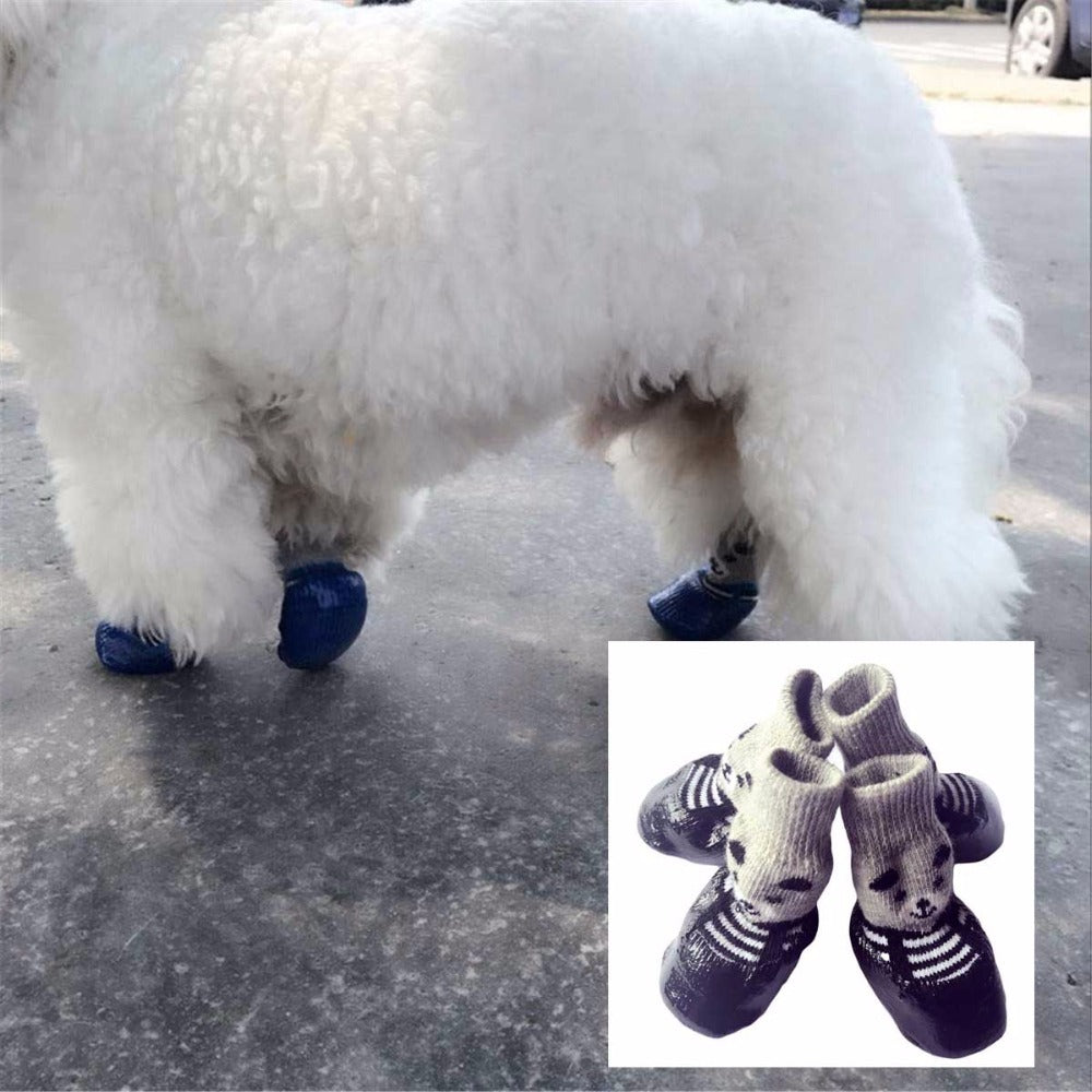 Chien en marche avec des chaussures antidérapantes pour protéger ses pattes sur une surface glissante.