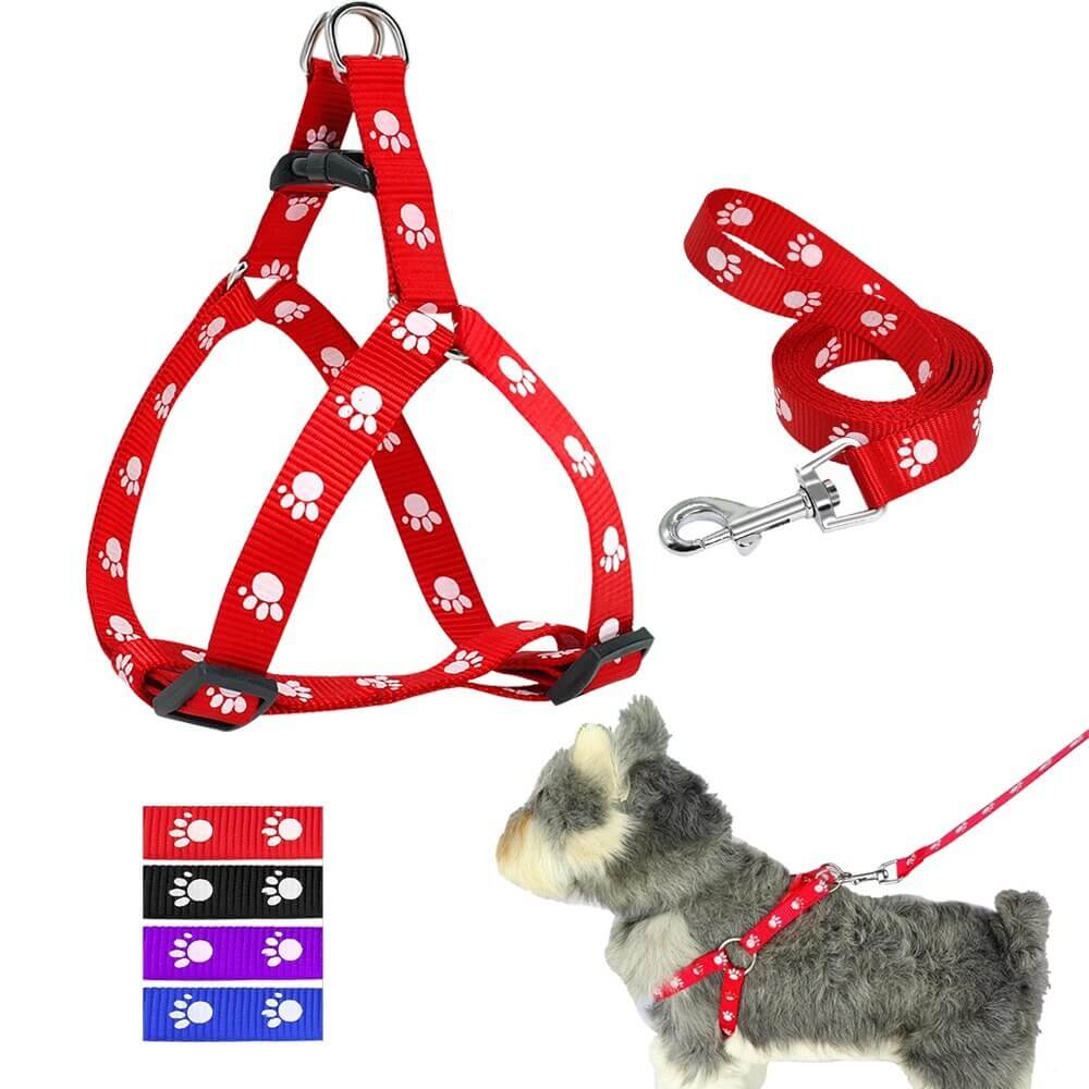 Harnais ajustable pour chien avec laisse imprimée en rouge et motifs de pattes, idéal pour les petites et moyennes tailles.