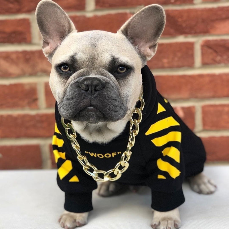 Chien français dans un pull noir à rayures jaunes et chaîne bling, posé devant un mur en briques.