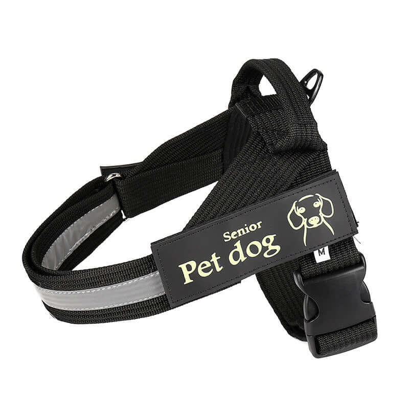 Harnais pour chien en nylon noir, taille M, avec étiquette 'Senior Pet Dog', idéal pour le confort et la sécurité.