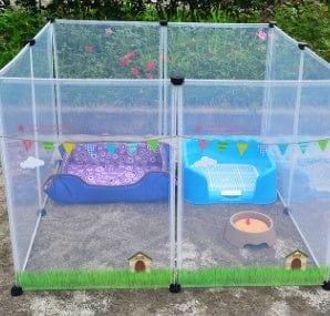 Clôture transparente pour animaux avec un espace pour chien et chat, décorée de jouets et accessoires.