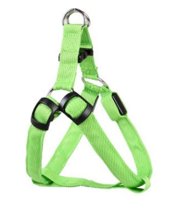 Harnais LED lumineux pour chien en vert, idéal pour promenades nocturnes, avec sangle réglable et clip de sécurité.