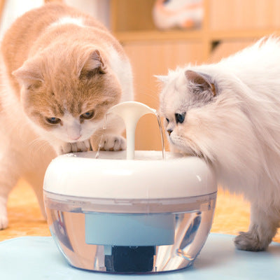 Deux chats explorant un distributeur d'eau purificateur automatique pour animaux dans un environnement domestique.