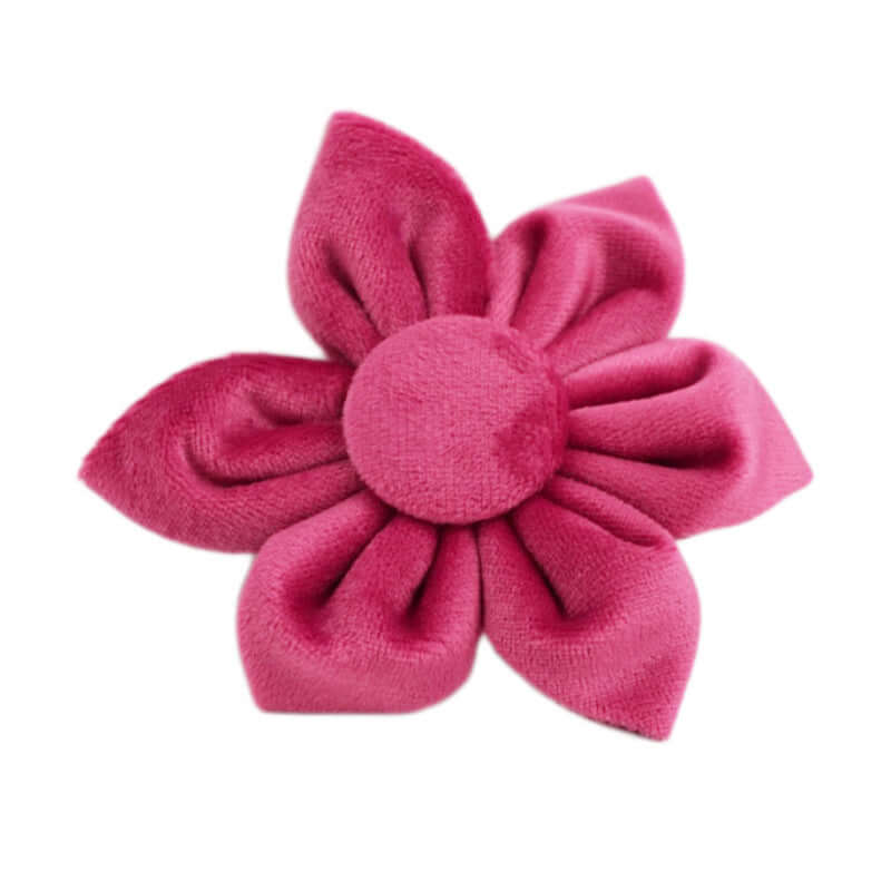Fleur en velours rose, accessoire élégant pour animaux de compagnie, parfait pour le collier de chien.