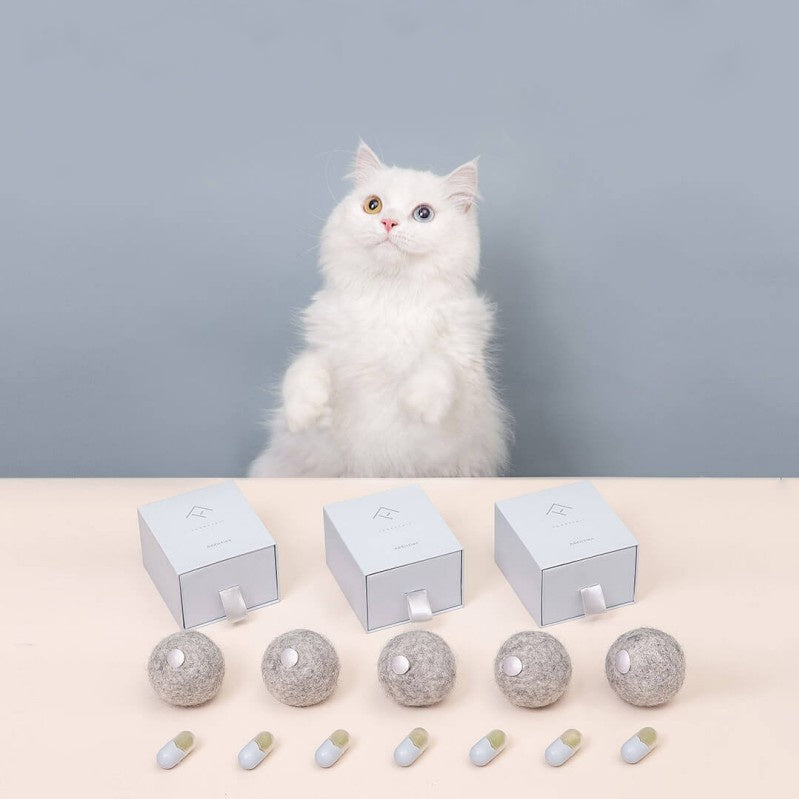 Jouets Capsules en Pure Laine avec Herbe à Chat Pour Chats