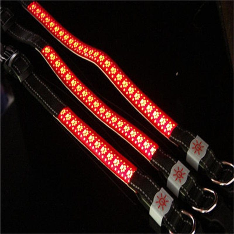 Collier LED pour chien avec éclairage rouge, idéal pour la sécurité lors des promenades nocturnes.