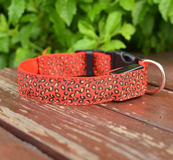 Collier LED ajustable en nylon léopard pour chien sur fond de bois, élégant et sécuritaire pour les promenades nocturnes.