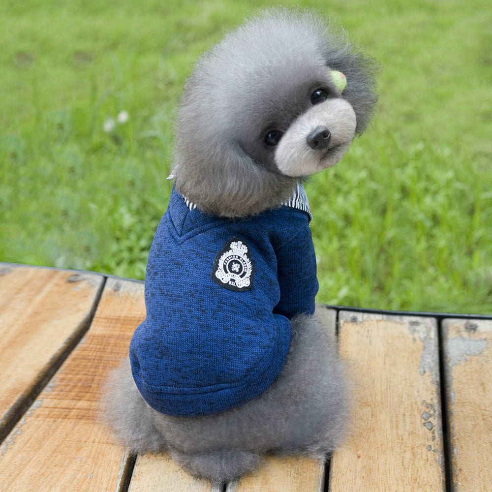 Sweatshirt pour chien en laine avec col revers, style décontracté, sur un chien mignon, environnement naturel.