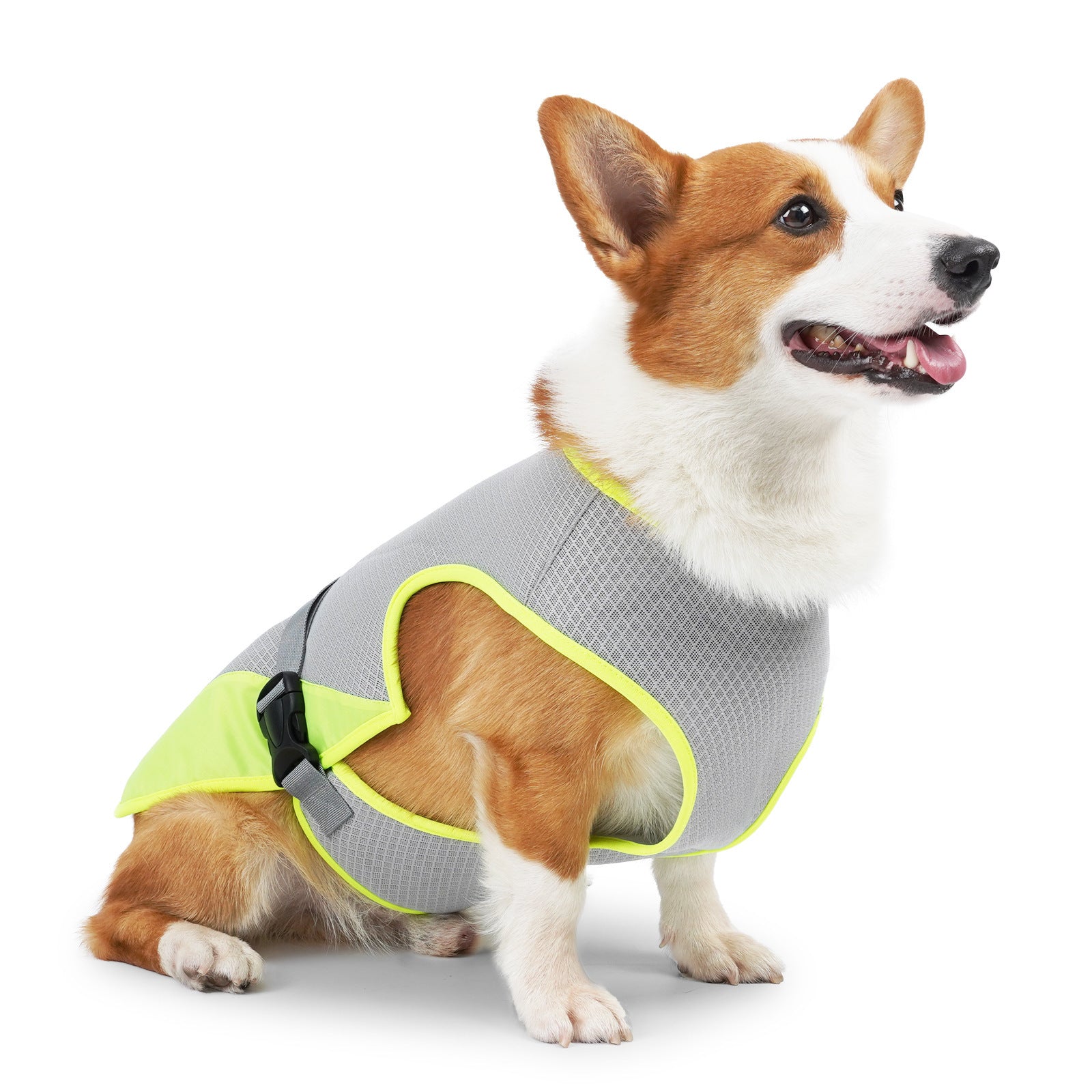 Veste rafraîchissante pour chien en polyester grise avec accents jaunes, idéale pour les journées chaudes.
