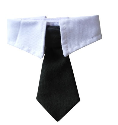 Nœud papillon pour chiens avec col blanc et cravate verte, parfait pour un look élégant pour animaux.