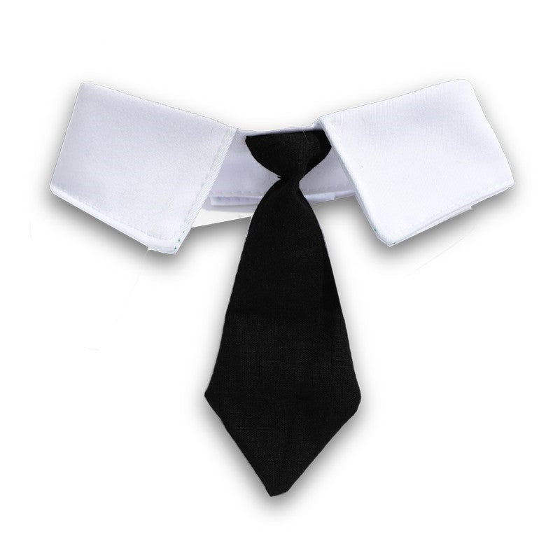 Ensemble de cravate noire et col blanc pour chat, parfait pour une touche élégante.