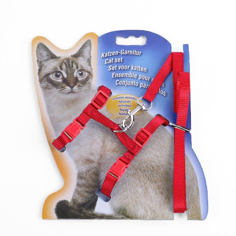 Harnais en nylon rouge pour chats avec notice, offrant confort et sécurité lors des promenades.
