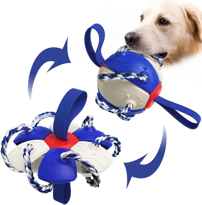 Ballon de Football Interactif pour Chien avec Onglets - Jouet d'Entraînement Gonflé