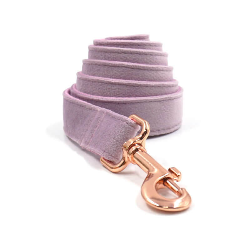 Laisse en velours gris foncé avec boucle en or pour chiens, élégante et confortable, parfaite pour les promenades.
