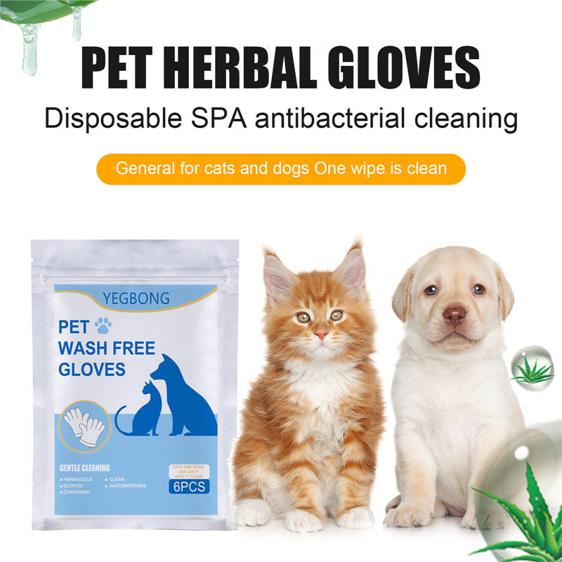 Gants Jetables pour Animaux de Compagnie - 6 Pièces