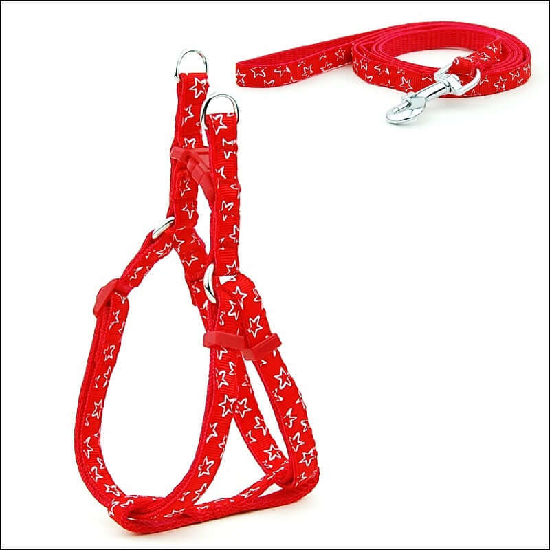 Laisse pour animaux à pois rouge avec harnais et sangle pour chien, accessoire confortable et durable.