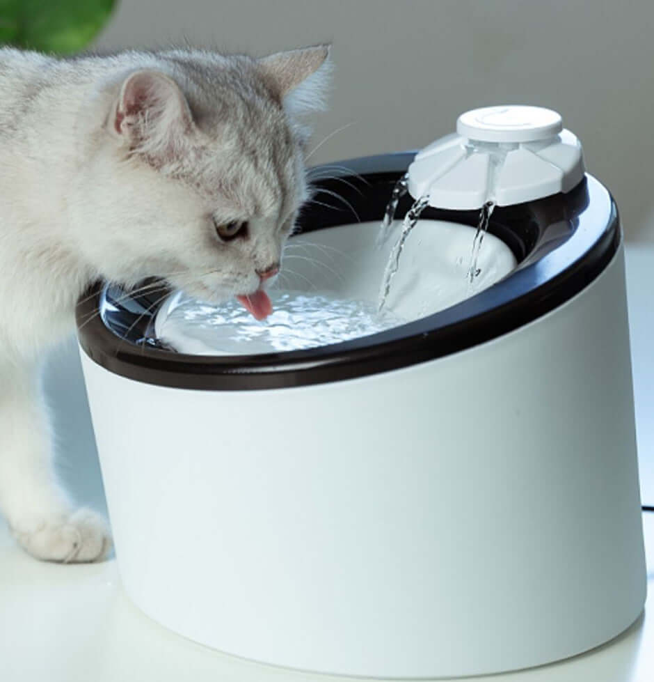 Un chat buvant de l'eau d'un distributeur automatique d'eau pour animaux, conçu pour maintenir une hydratation optimale.