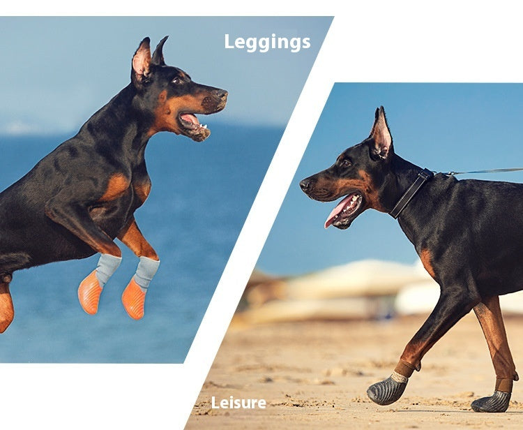Chiens portant des chaussures de sport extérieures antidérapantes lors de leurs loisirs en plein air.