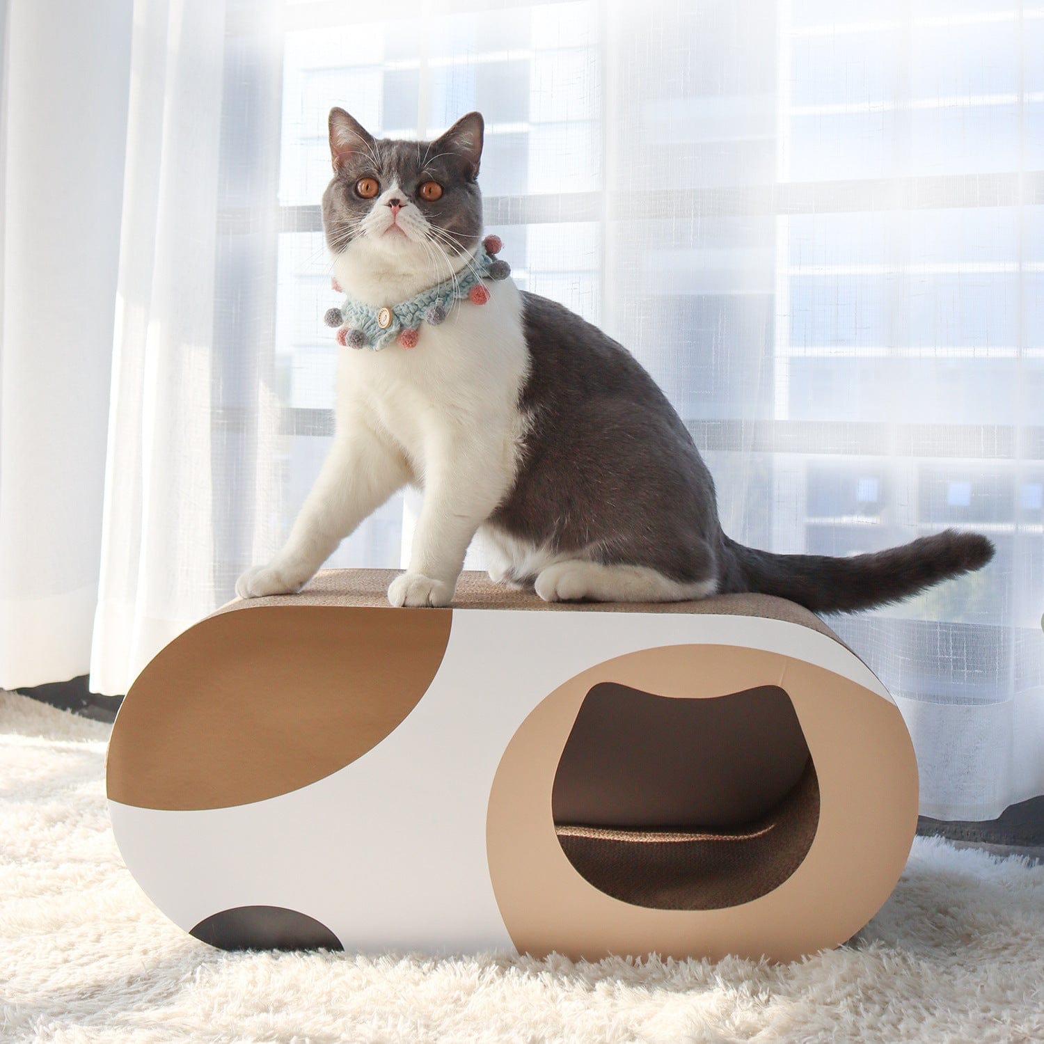 Chat sur une table de grattage ronde en papier ondulé, parfait pour gratter et jouer.