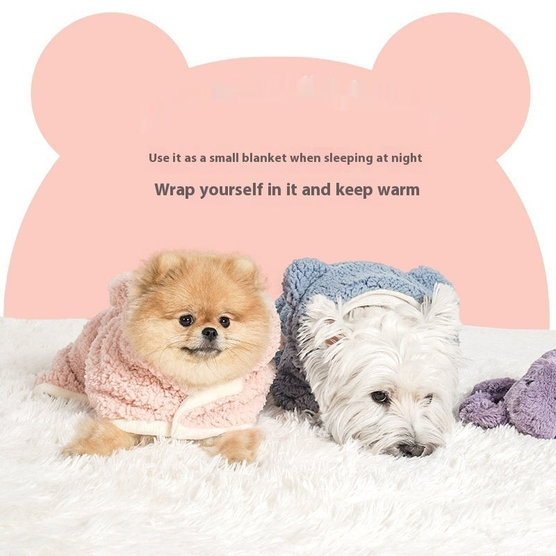 Charming dogs in soft cotton velvet coats, perfect for keeping pets warm during winter nights.
