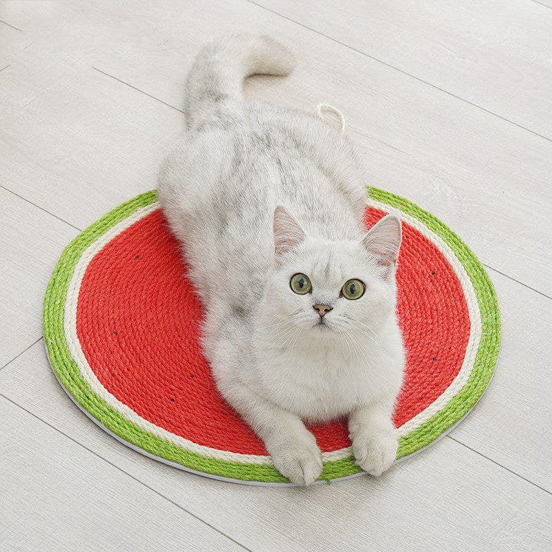 Chat gris sur un tapis à gratter murale en forme de pastèque, conçu pour le jeu et le grattage.