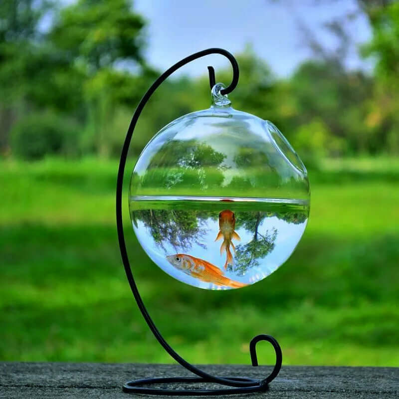 Vase à suspendre en verre avec poissons, forme ronde, support noir, décor élégant pour aquarium miniature.