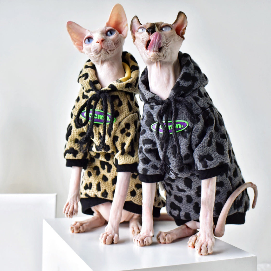 Deux chats Sphynx portant des pulls camouflage en coton, stylés et confortables, sur un support moderne.