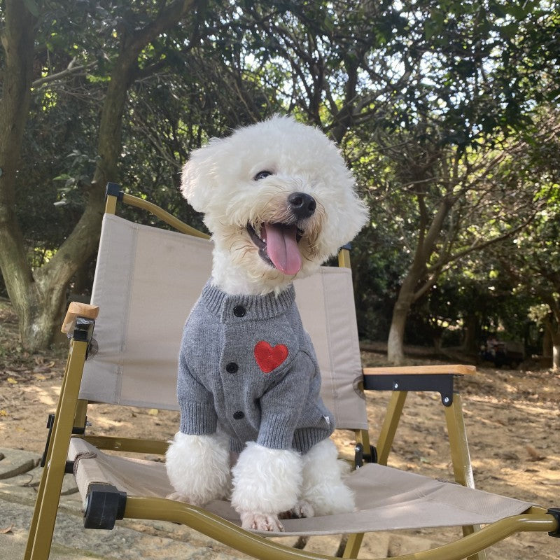 Chien dans un pull en laine gris avec un cœur rouge, assis sur une chaise en plein air.