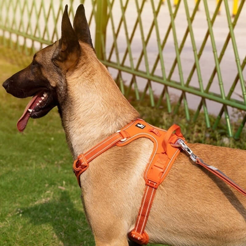 Harnais réfléchissant orange pour chien avec corde de maintien, parfait pour le confort et la sécurité des animaux.