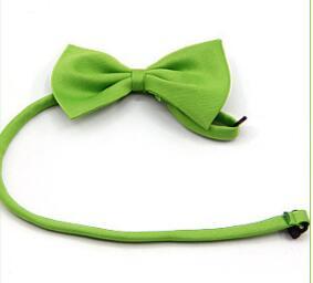 Nœud papillon simple vert pour animaux, ajoutant une touche d'élégance à votre compagnon.
