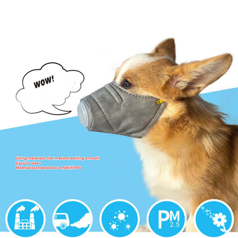 Masque anti-brouillard pour chiens, protection respiratoire efficace contre pollution et allergènes.