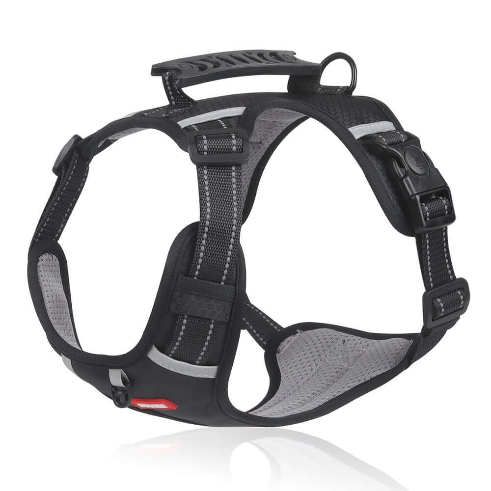 Harnais de sécurité pour animaux avec design confortable et sangles ajustables, couleur noire.