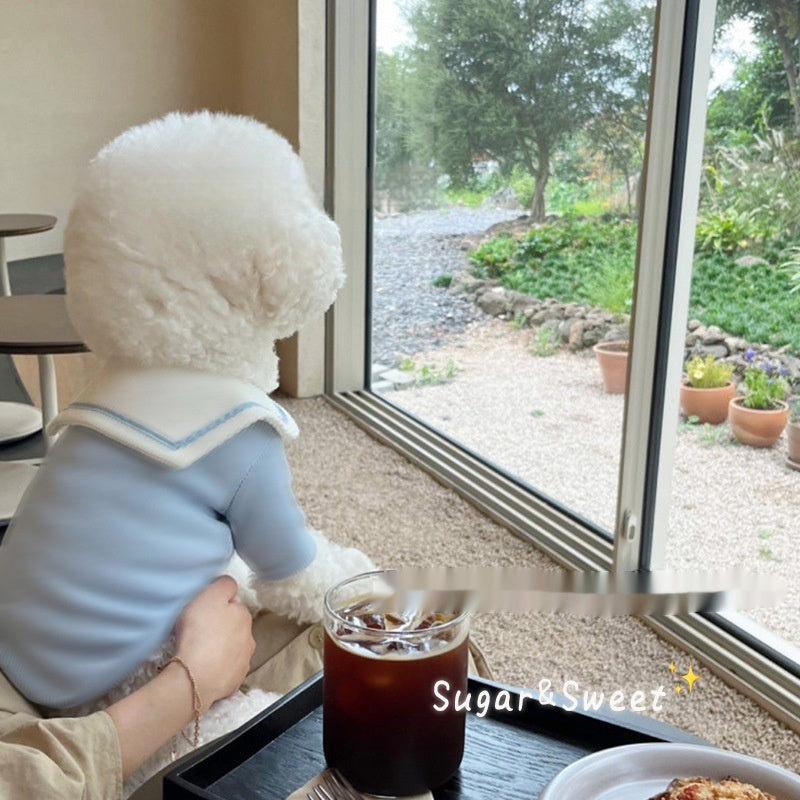 Dog wearing a blue sailor collar gilet looking out the window, enjoying a cozy indoor atmosphere.