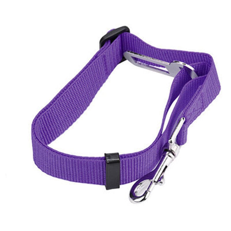 Corde de sécurité rétractable en nylon violet pour chien, légère et durable, idéale pour les promenades.