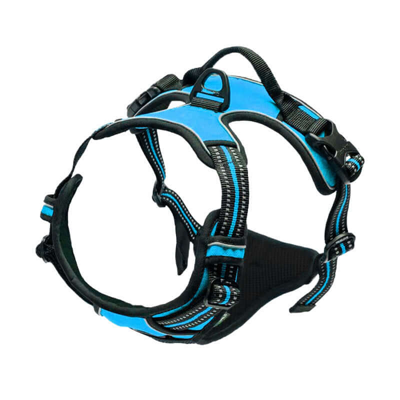 Harnais de sécurité bleu pour chien, ergonomique et confortable, idéal pour les promenades et l'activité en extérieur.