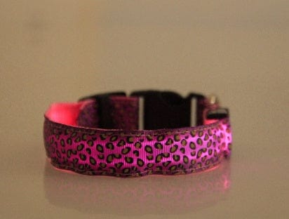 Collier LED ajustable en nylon léopard pour chien, violet, idéal pour promenades nocturnes.