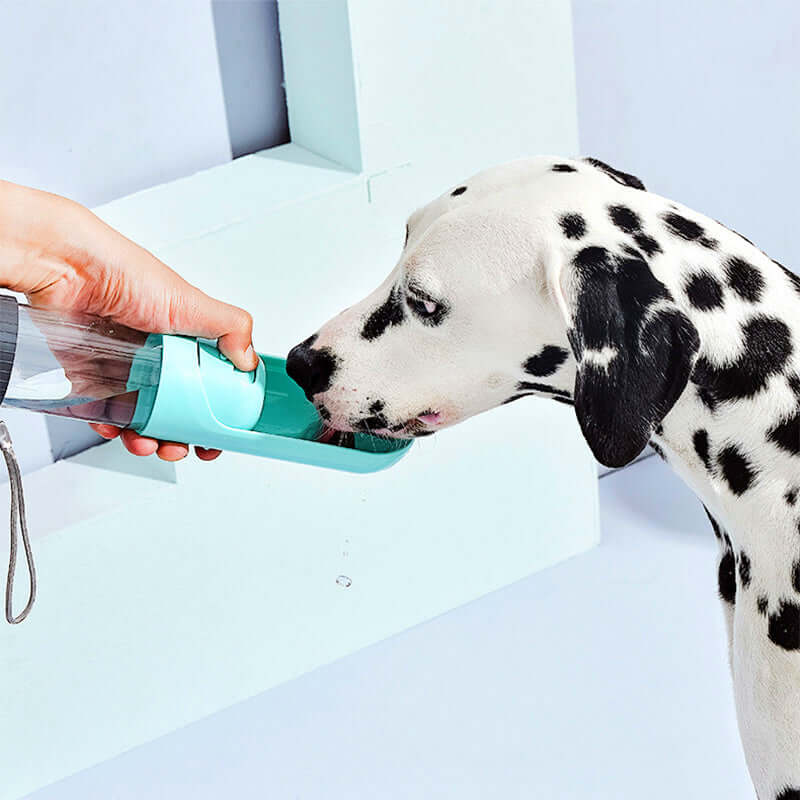 Dalmatian drinking water from a portable multifunction water cup for pets.