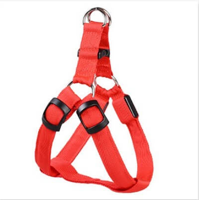 Harnais LED lumineux pour chien en rouge, conçu pour sécurité et confort lors des promenades nocturnes.