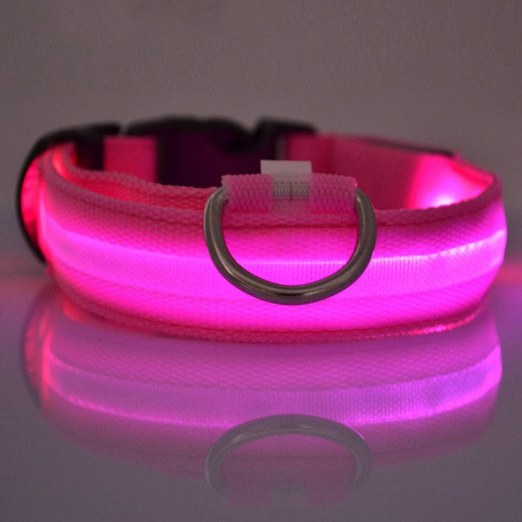 Collier LED de sécurité rose pour chien, idéal pour les promenades nocturnes, lumineux et élégant.