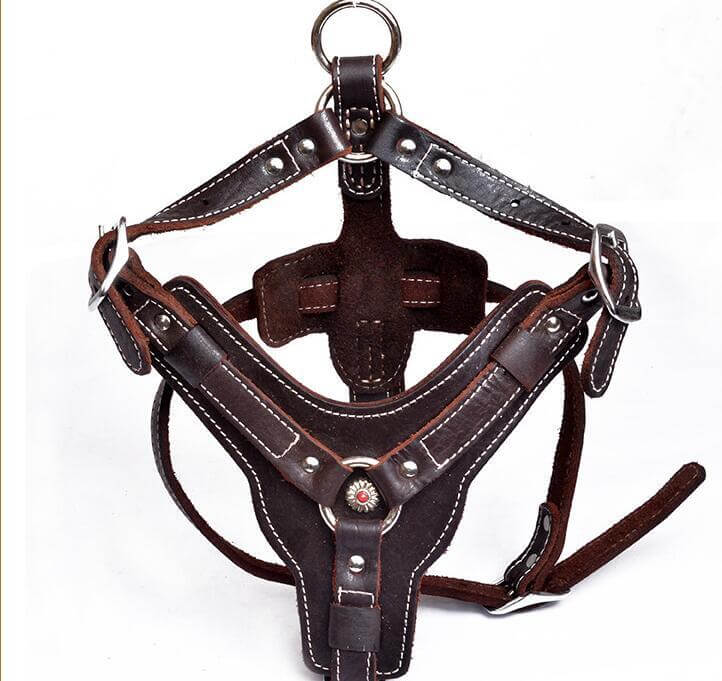 Harnais en cuir véritable pour chien, élégant et robuste, idéal pour les promenades quotidiennes.
