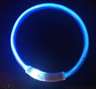 Collier LED lumineux pour chien en bleu, idéal pour les promenades nocturnes et la sécurité