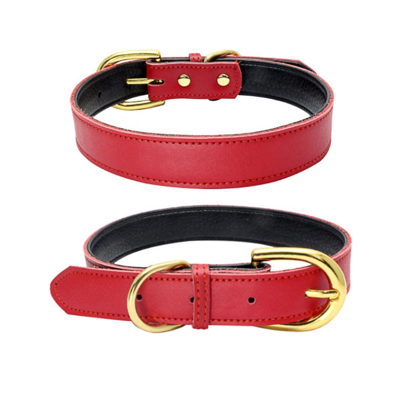 Collier en cuir rouge pour animaux avec boucle dorée, accessoire de style pour chien ou chat.