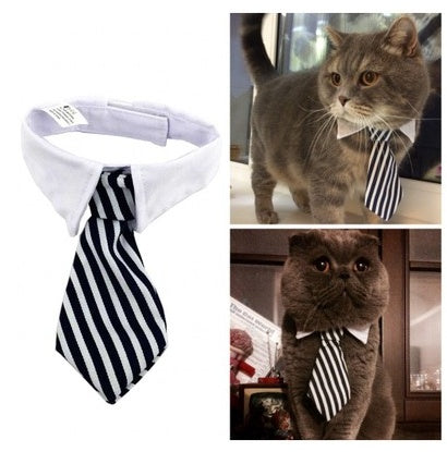 Nœud papillon pour chat en tissu, élégant et stylé, parfait pour toutes les occasions avec un design à rayures.