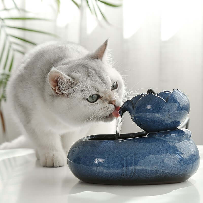 Chat buvant de l'eau fraîche d'un distributeur élégant et moderne sur une table.