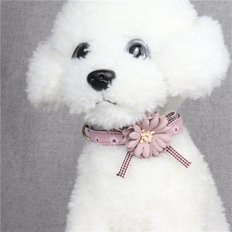 Collier pour chien avec fleurs mignonnes sur un modèle en peluche, style esthétique et confortable.