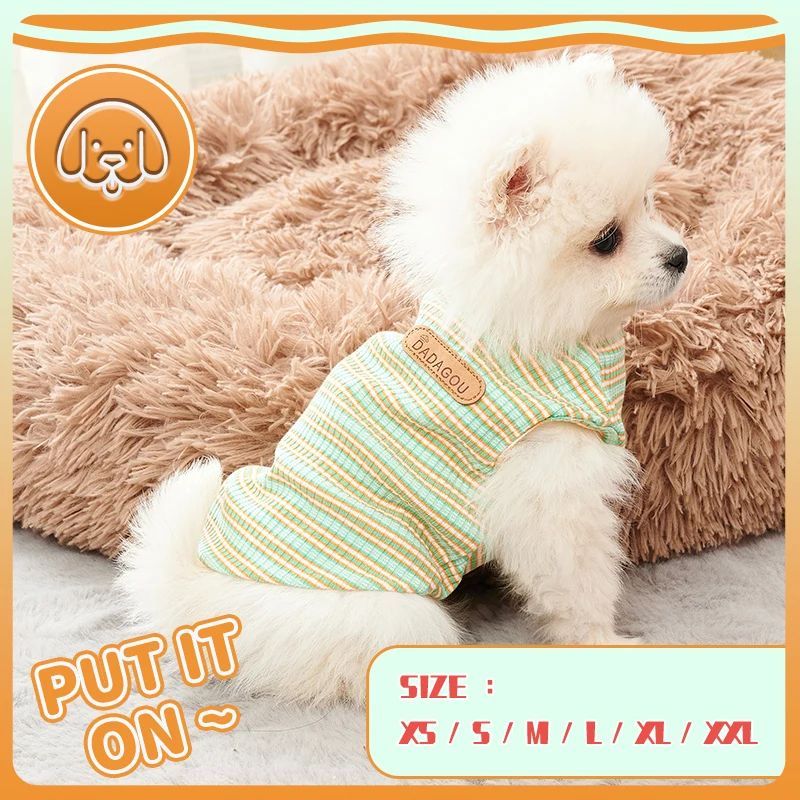 Veste de refroidissement pour chien en coton léger, parfaite pour le printemps et l'été, modèle pour petits chiens.