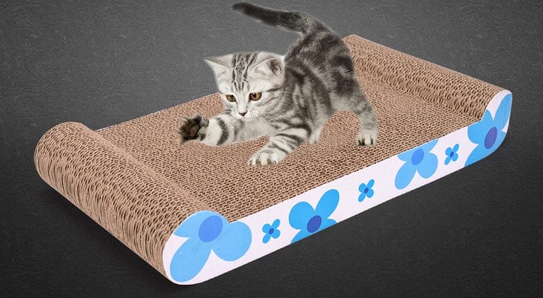 Chat jouant sur une planche à gratter en carton ondulé avec un design floral, idéale pour divertir les félins.